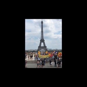 Meet your Posher, Wynter